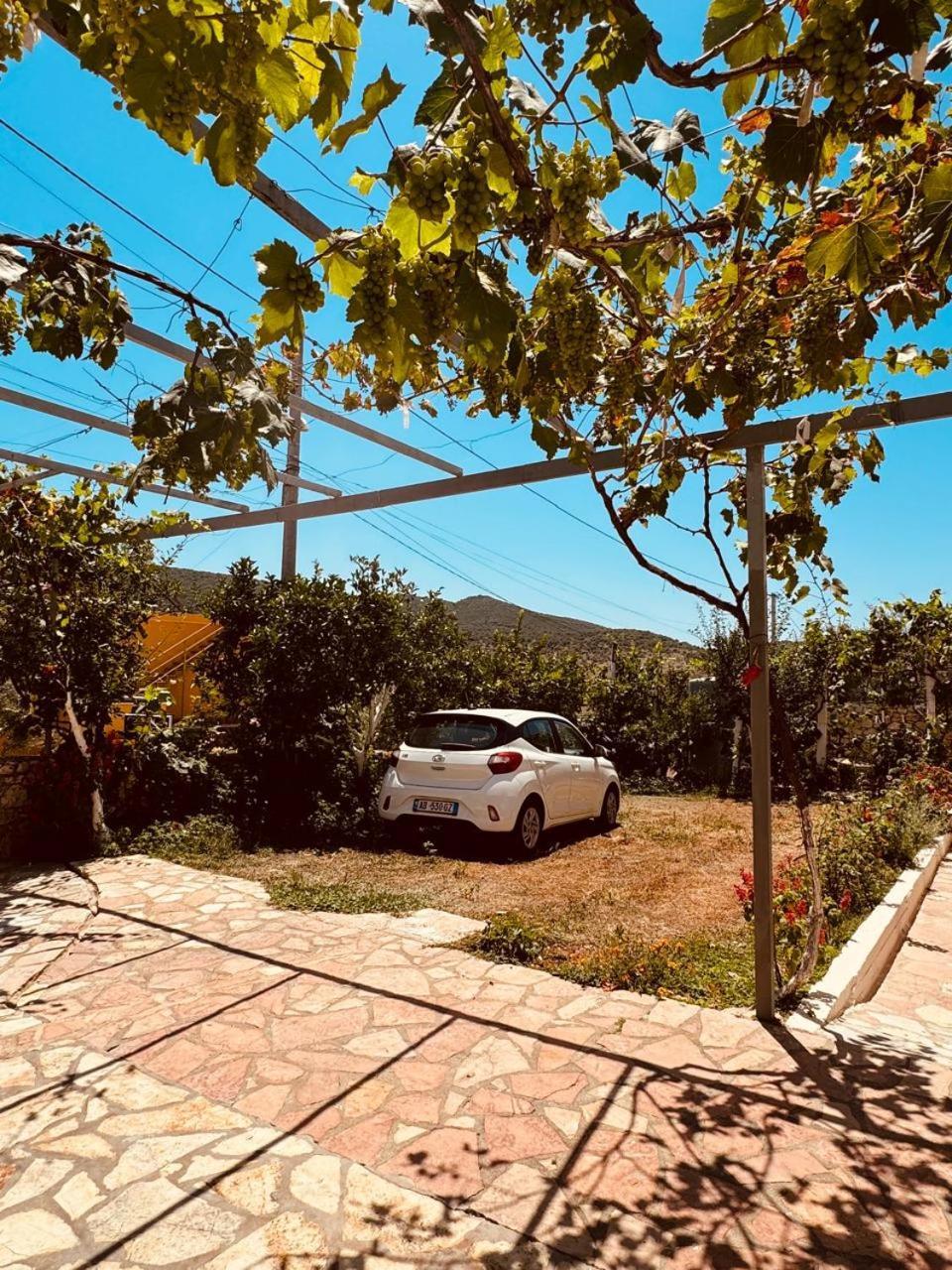 Orfeu Apartments Ksamil Exteriér fotografie